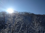 IMG_0161.JPG